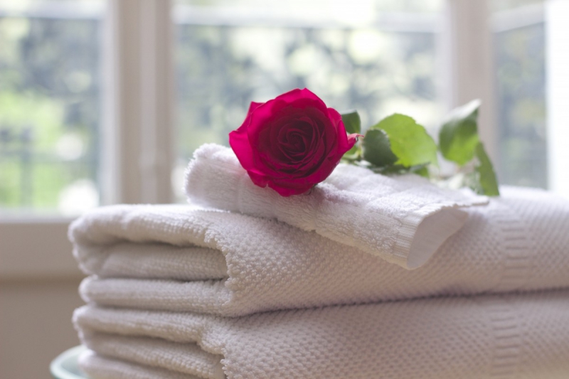 chambre-hote-BREIL SUR ROYA-min_towel_rose_clean_care_salon_spa_white_bath-731641